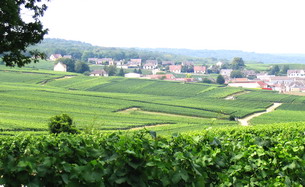 Mailly-Champagne village - canicule et brumes de chaleur